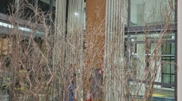 IMG-20240512-WA0043