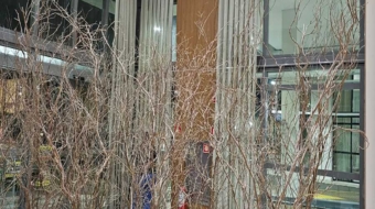 IMG-20240512-WA0043