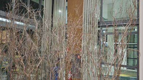 IMG-20240512-WA0043